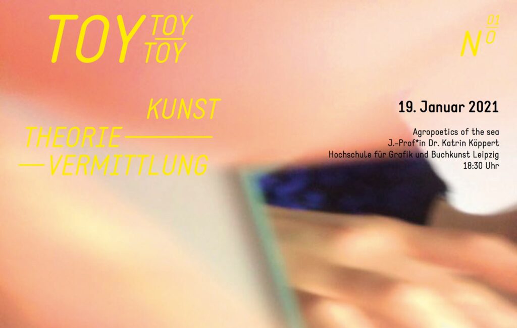 Vortragsreihe Wintersemester 20/21, ToyToyToy-Vortrag Dr. Katrin Köppert